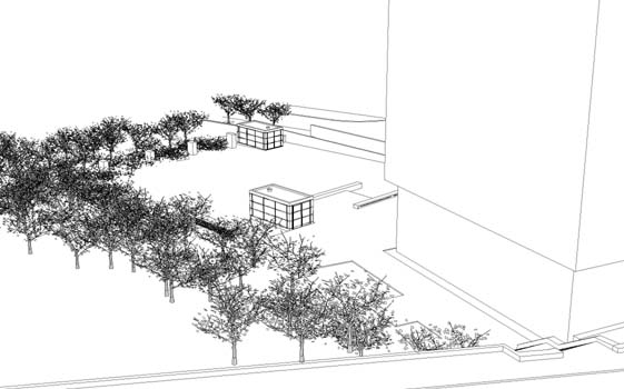 Perspectiva